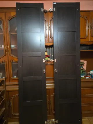 Puertas de armario oscuras