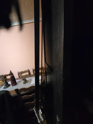 Puertas de armario oscuras