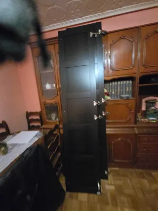 Puertas de armario oscuras