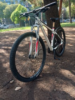 MTB 29" Specialized HR Sport Disc (160-179cm)