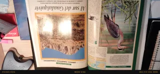 Espacios naturales de España