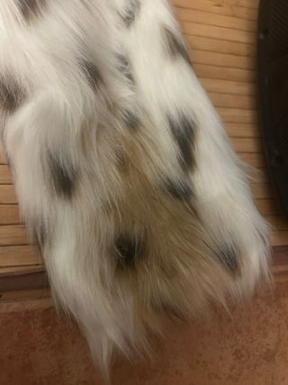 Chaqueta pelo largo nueva L