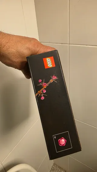 LEGO Botânicos Flor de Ameixeira 10369