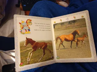 Michi animales en la granja