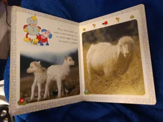 Michi animales en la granja