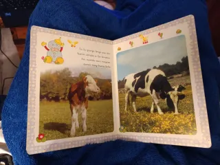 Michi animales en la granja