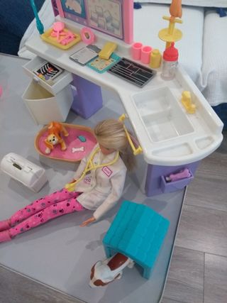 Barbie veterinaria con accesorios
