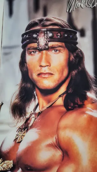 Bandera XXL Conan Destructor Arnold Schwarzenegger