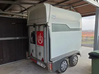 Remolque caballos estilo westfalia