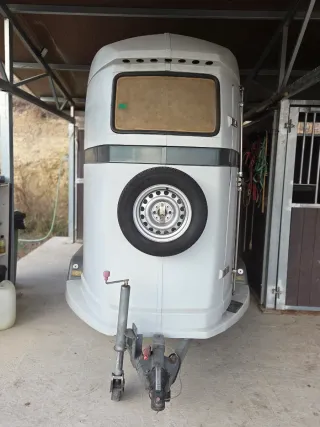 Remolque caballos estilo westfalia