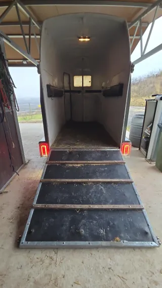 Remolque caballos estilo westfalia