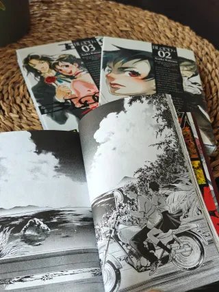 Manga Blood+ (tomos 1-3)