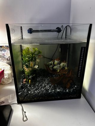 Acuario completo con filtro, luz y decoración