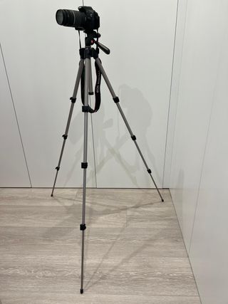 Cámara Canon EOS Rebel T3i + 2 objetivos