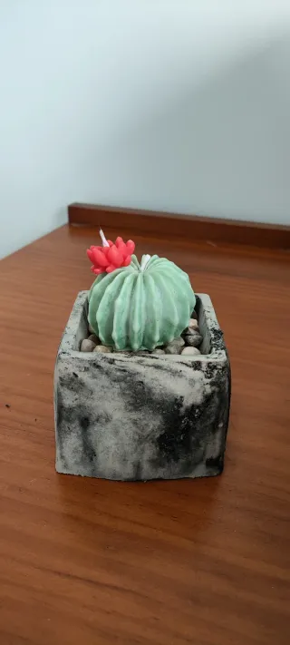 Vela Cactus Decorativa