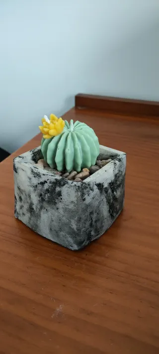 Vela Cactus Decorativa