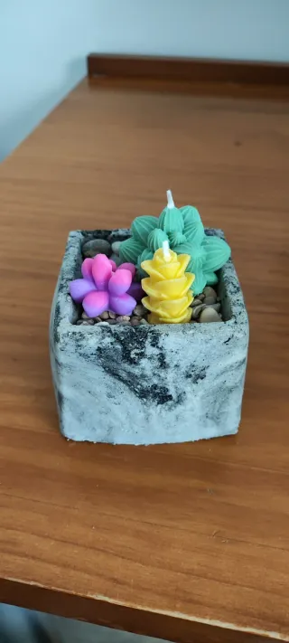 Velas Suculentas Decorativas