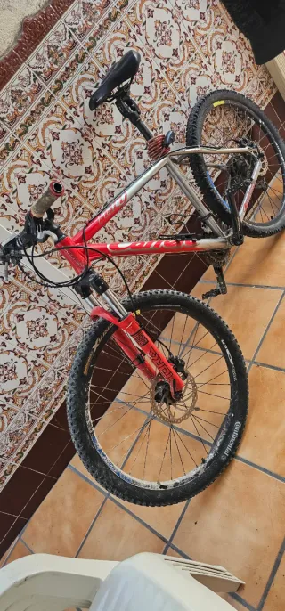 Bicicleta de montaña