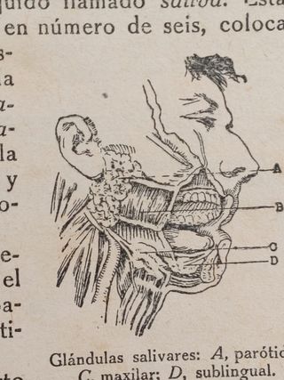 Libros de salud años 30. Guía y Formulario de Terapeútica + Fisiología e Higiene.