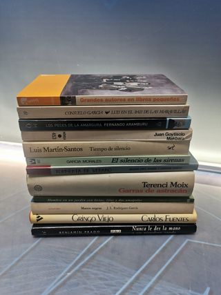 12 LIBROS, LITERATURA HISPANICA - Carlos fuentes, Benjamin Prado, Terenci Moix, f.aramburu y mas