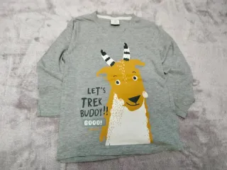 Lote Ropa Niño Talla 6 Años. Pantalón y 2 camiseta