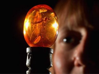 Ámbar con mosquito (Jurassic Park)