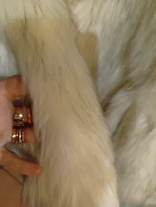 Gilet pelliccia Bershka Beige/Bianco XS