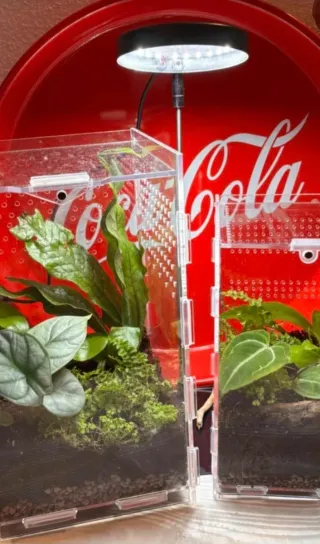 2 Lampade Grow Light LED Bianca e Nera