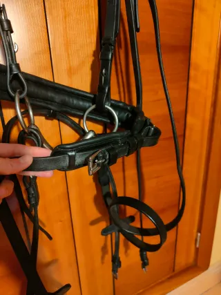 Cabezada inglesa TALLA COB