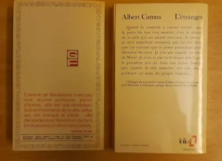 Libri classici letteratura in inglese e francese