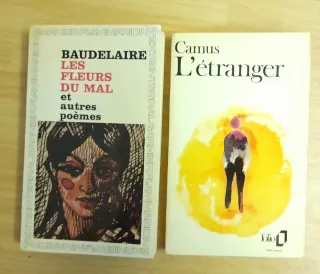 Libri classici letteratura in inglese e francese