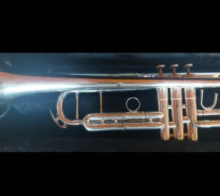 Tromba King 1117 USA