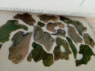 Cantares gallegos. Rosalía de Castro. Ilus. P. Bar