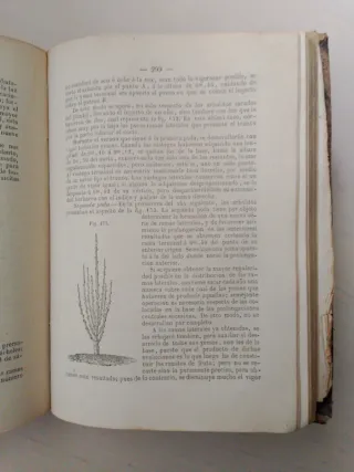 Arboricultura - libro antiguo -  año 1864