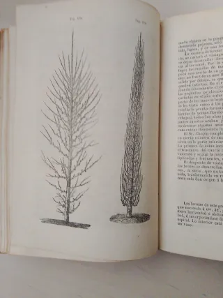 Arboricultura - libro antiguo -  año 1864