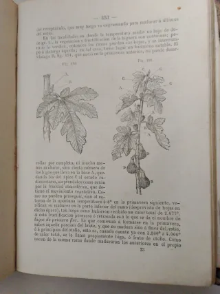 Arboricultura - libro antiguo -  año 1864