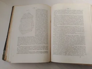 Arboricultura - libro antiguo -  año 1864