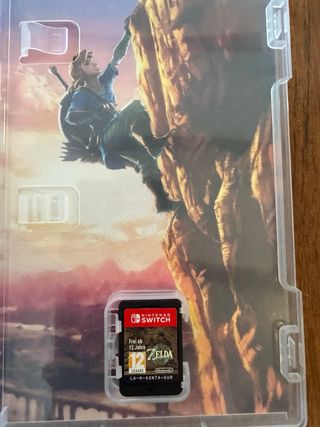 Nintendo Switch Zelda Tears of the Kingdom