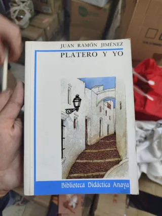 Platero y yo