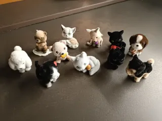 Cuccioli cerca amici vari €3 l'uno