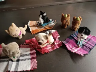 Cuccioli cerca amici vari €3 l'uno