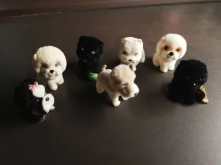 Cuccioli cerca amici vari €3 l'uno