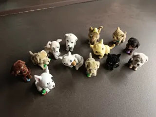 Cuccioli cerca amici vari €3 l'uno