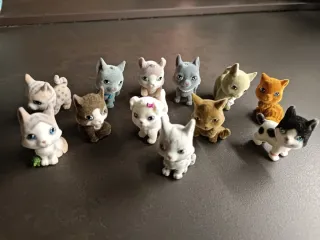 Cuccioli cerca amici vari €3 l'uno