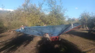 Recolector aceitunas manual con remolque