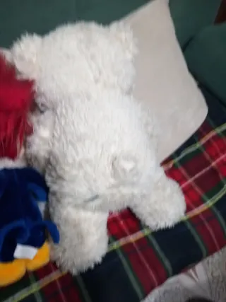 Peluche pajaro loco y Osito