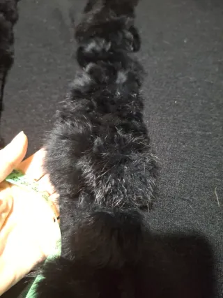 Capa negra con pelo natural