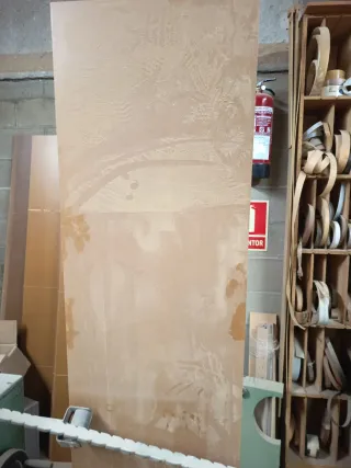 Puertas DM Barnizadas para Armario