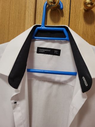 Camisa. Lisa. Cedar Woood State