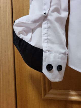 Camisa. Lisa. Cedar Woood State